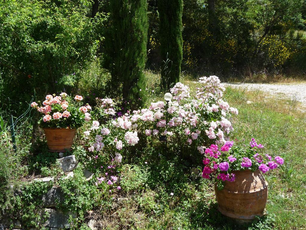 Podere Sant'Angelo Roccalbegna Εξωτερικό φωτογραφία