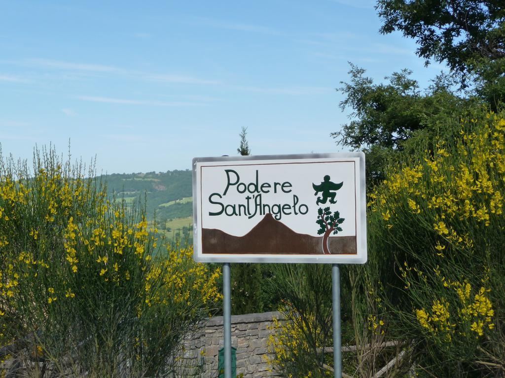 Podere Sant'Angelo Roccalbegna Εξωτερικό φωτογραφία