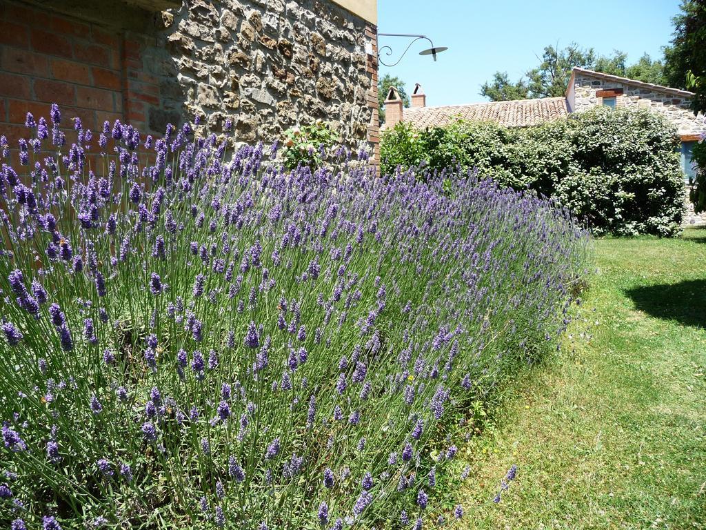 Podere Sant'Angelo Roccalbegna Εξωτερικό φωτογραφία